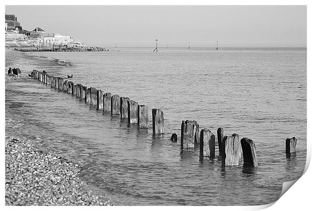 Selsey in Mono Print by Darrin Collett