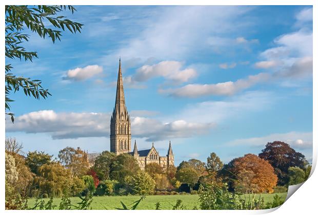 Salisbury Cathedral from the Meadows  Print by Joyce Storey
