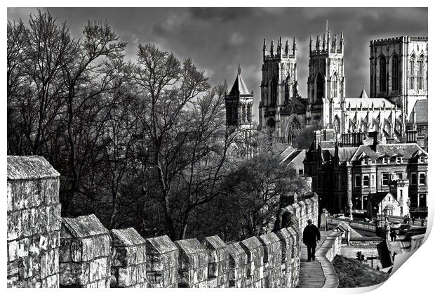 A view from York's City Wall Print by Joyce Storey