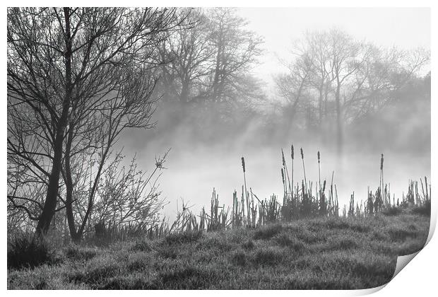 Peaceful misty morning Print by Joyce Storey