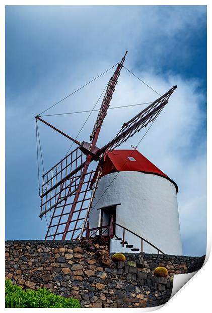Windmill at The Cactus Gardens Print by Joyce Storey