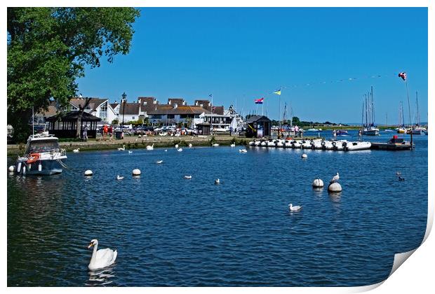 Christchurch Harbour  Print by Joyce Storey