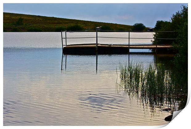  Evening On The Lake Print by Irina Walker