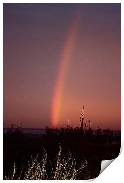 Evening Rainbow Print by Irina Walker