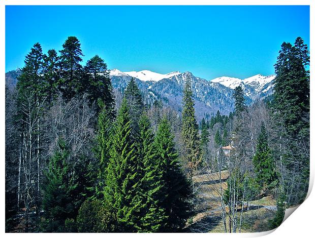 Snow on Mountain Tops Print by Irina Walker