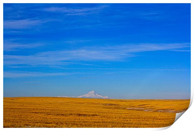 Mount Jefferson Print by Irina Walker