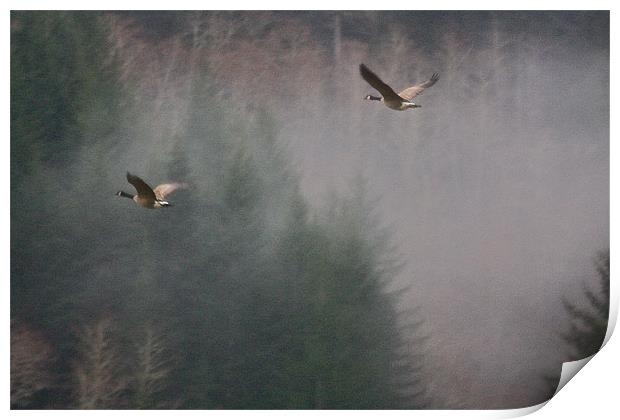 Flight Of The Geese Print by Irina Walker