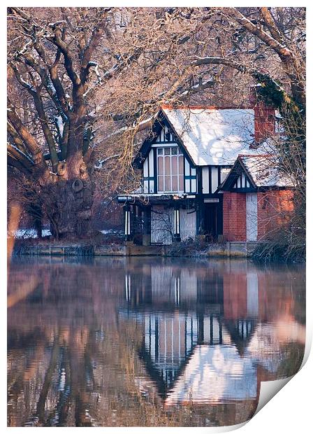 Winter Relections Print by Ray Lewis