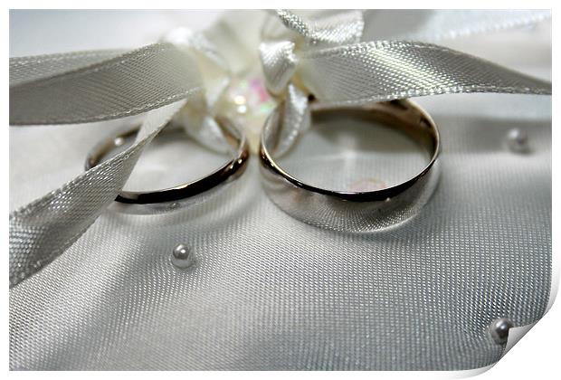 Wedding rings Print by Steven Shea