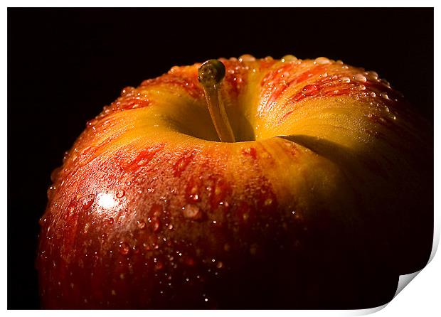 An Apple a day Print by Steven Shea