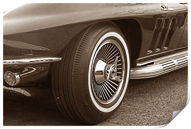 1965 Stingray Print by Ashley Paddon