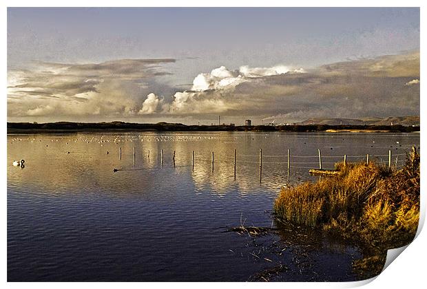 Kenif Pool Print by Brian Beckett