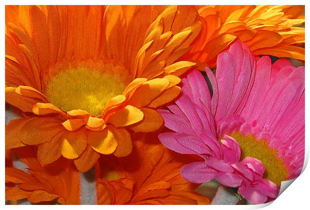 Orange and Pink Flowers Print by Brian Beckett