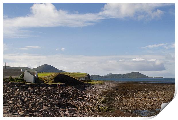 Seaside Cottages Print by Brian Beckett