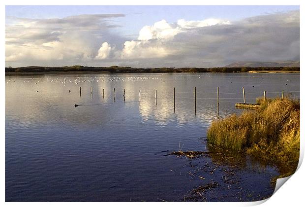 Kenfig Nature Reserve Print by Brian Beckett