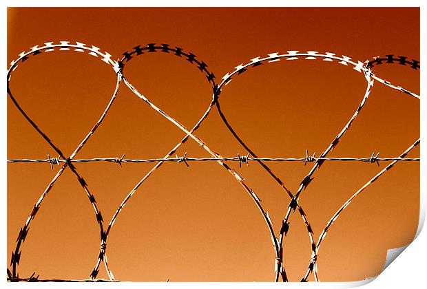Dancing razor wire Print by John Black
