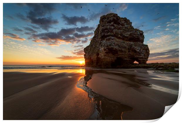 Marsden Rock Sunrise Print by Paul Appleby