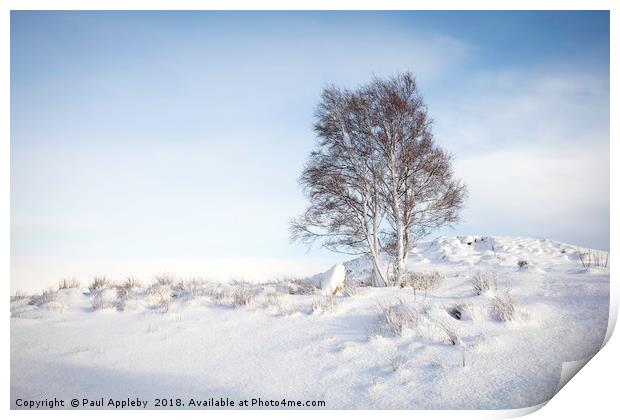 Rannoch Moor Snow Scene  Print by Paul Appleby