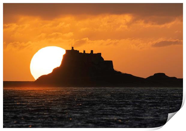 Sunrise - Holy Island Print by Paul Appleby