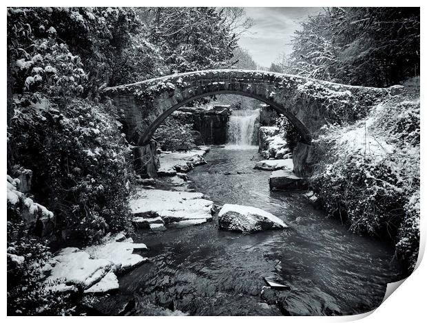 Jesmond Dene in the Snow Print by Paul Appleby