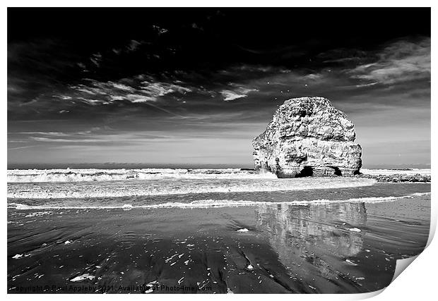 Marsden Rock Reflection Print by Paul Appleby
