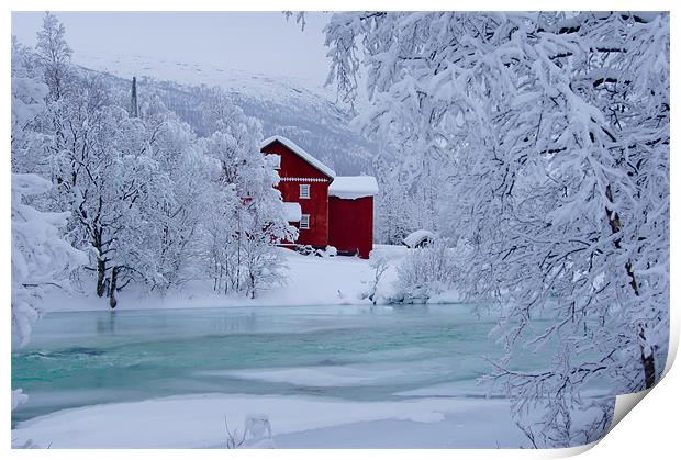 Norway In Winter Print by stephanie eleftheriou