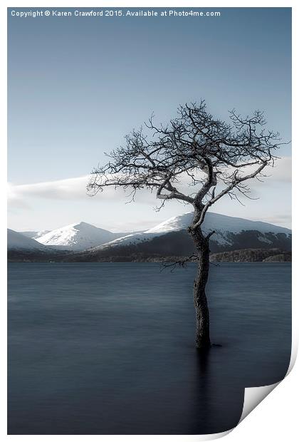  Lonely Tree Print by Karen Crawford