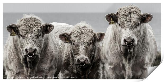 Three Cows Print by Karen Crawford