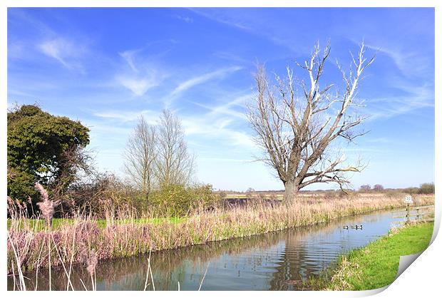 Fenland Scene - A view of a fen lode Print by Terry Pearce