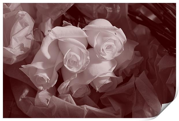 A bunch of Roses Print by Terry Pearce