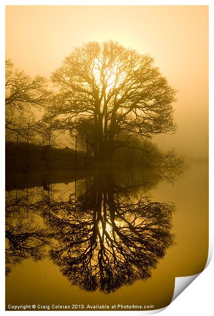 Sunrise and silhouettes Print by Craig Coleran