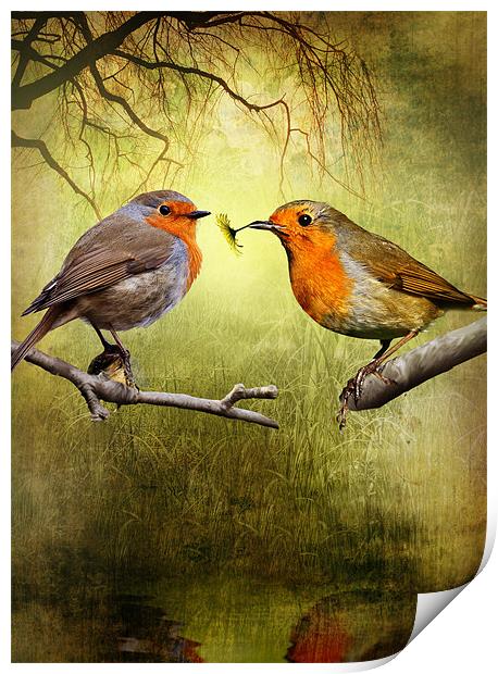 Robin Presents Print by Julie Hoddinott