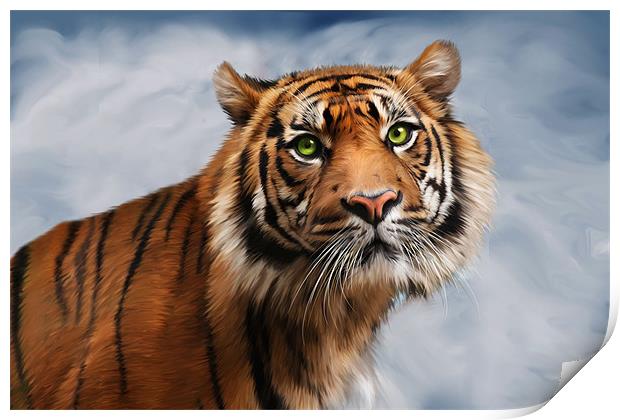 Sumatran Tiger on Blue Print by Julie Hoddinott