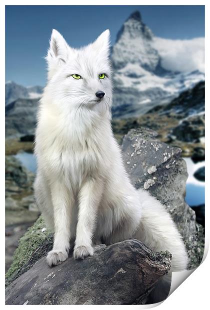 White Fox at Matterhorn Print by Julie Hoddinott