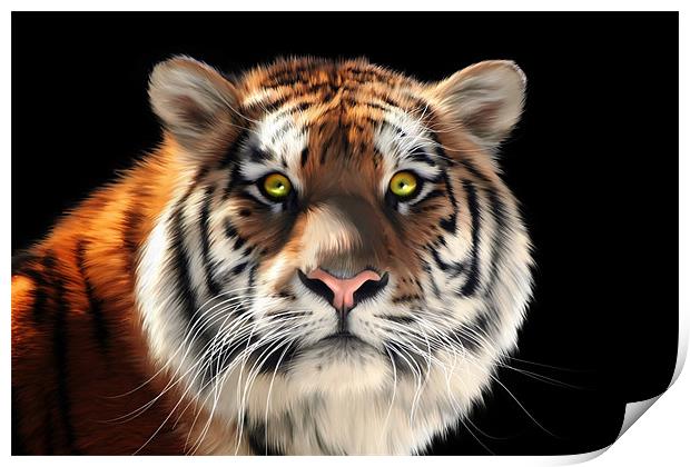 Siberian Tiger Print by Julie Hoddinott