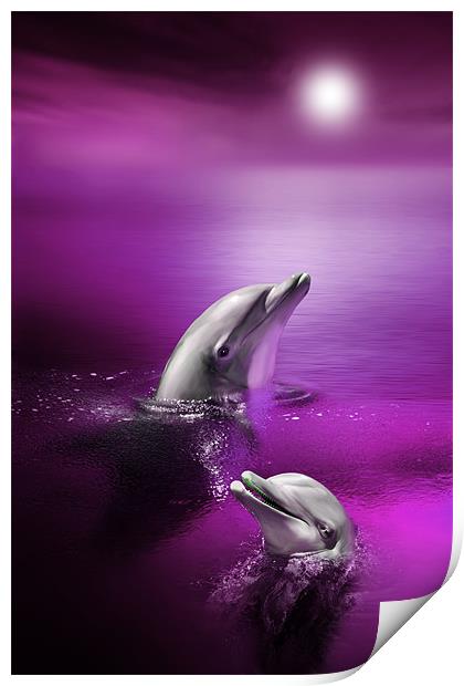 Dolphin Delights Print by Julie Hoddinott