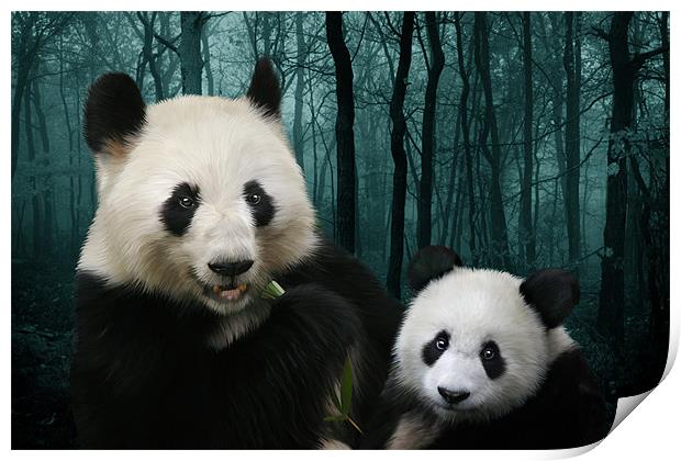 Woodland Giant Pandas Print by Julie Hoddinott