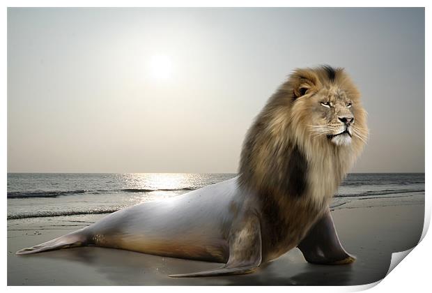 Sea-Lion Print by Julie Hoddinott