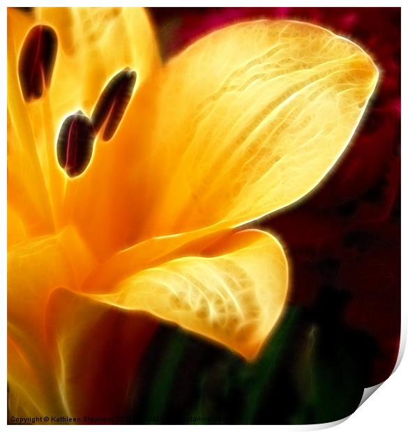 Golden Lily Petals Print by Kathleen Stephens