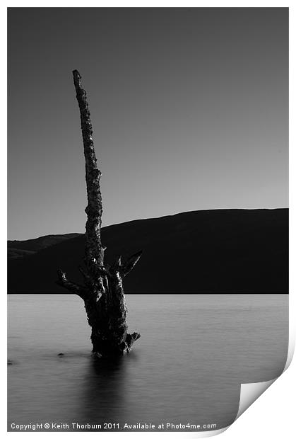 Dead Tree at Loch Rannoch Print by Keith Thorburn EFIAP/b