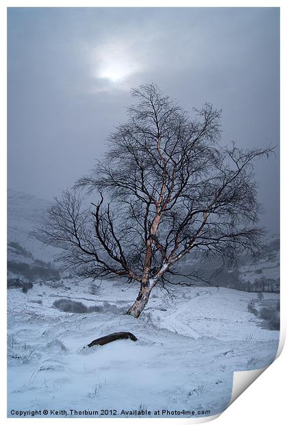 Winter Scene Print by Keith Thorburn EFIAP/b