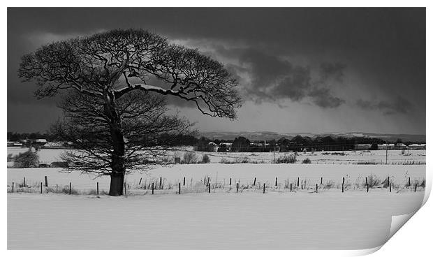 Tree in the snow Print by Keith Thorburn EFIAP/b
