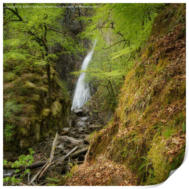 A waterfall in the forest Print by Keith Thorburn EFIAP/b