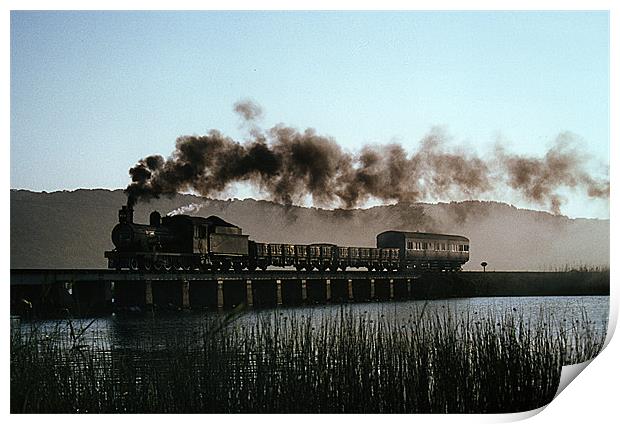 South Africa Steam Print by Kevin Staddon