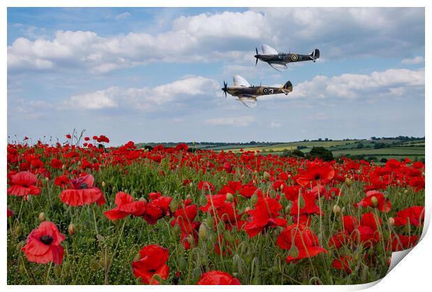 Spitfires and Poppies Print by J Biggadike