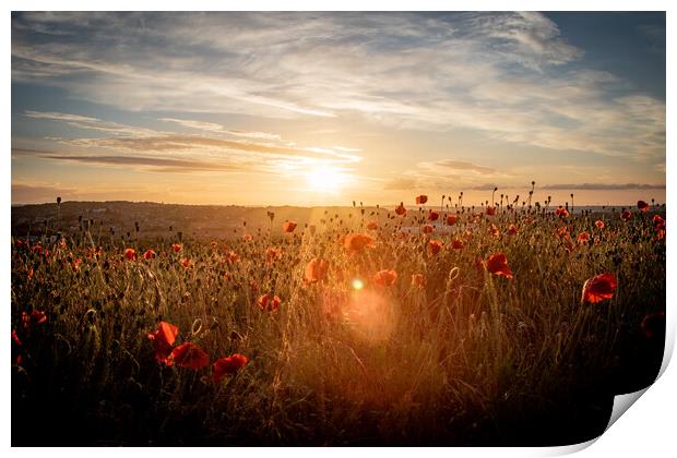 Poppy Field at Sunset Print by J Biggadike