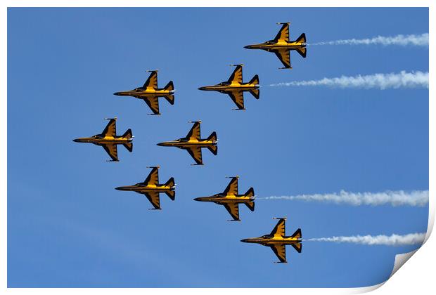 ROKAF Black Eagles Print by J Biggadike