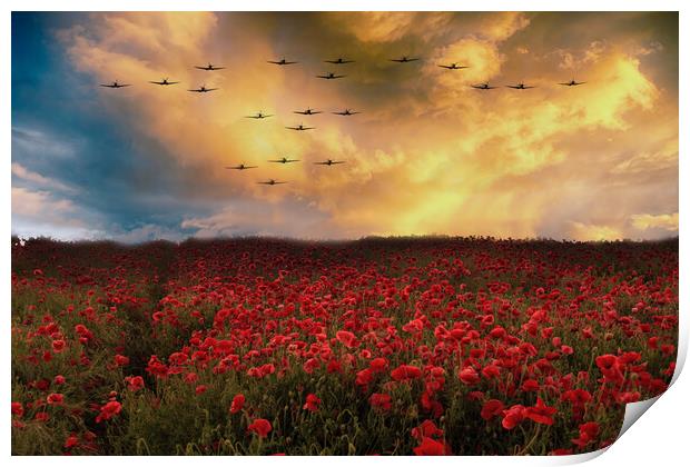Sunset Poppies Spitfires Print by J Biggadike