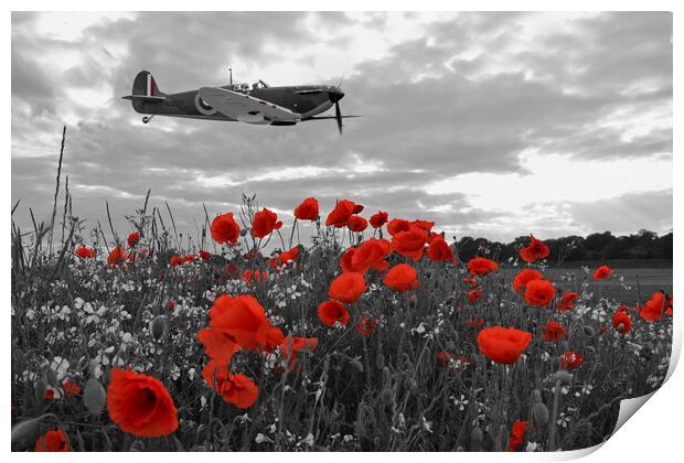 Spitfire Poppy Fields Print by J Biggadike