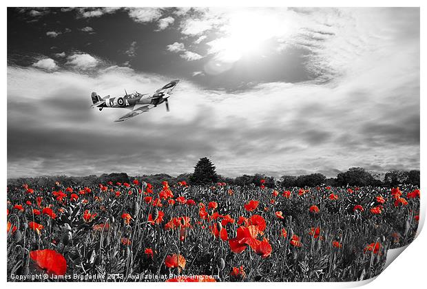 Spitfire Poppy Pass Print by J Biggadike